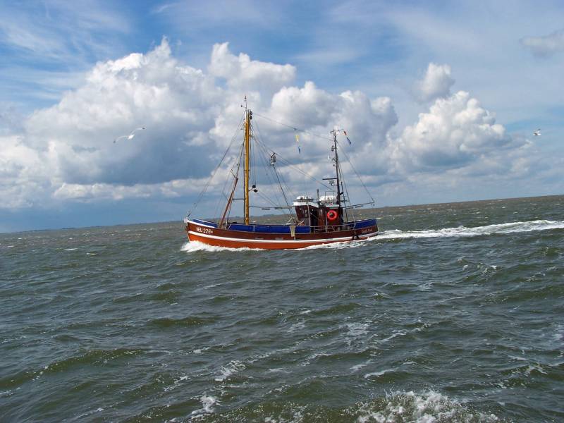 spiekeroog6_sabel.jpg